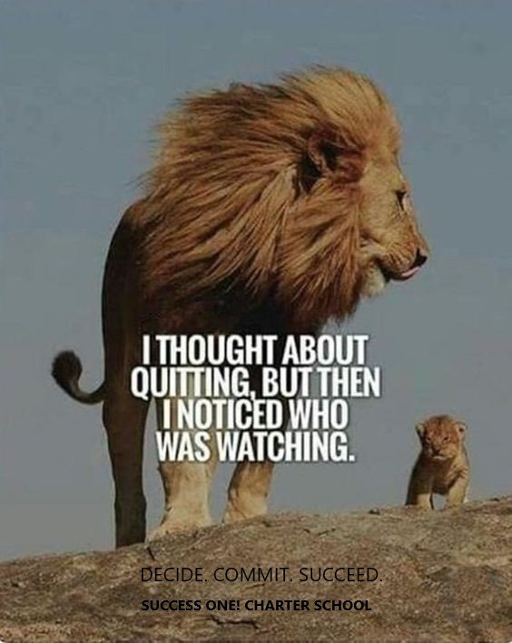 Lion commit1.jpg